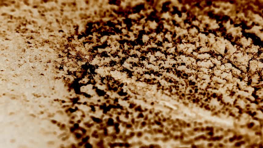 A golden substance lights up and expands rapidly