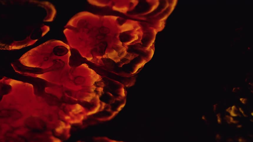 Red dense liquid expanding on an abstract black background