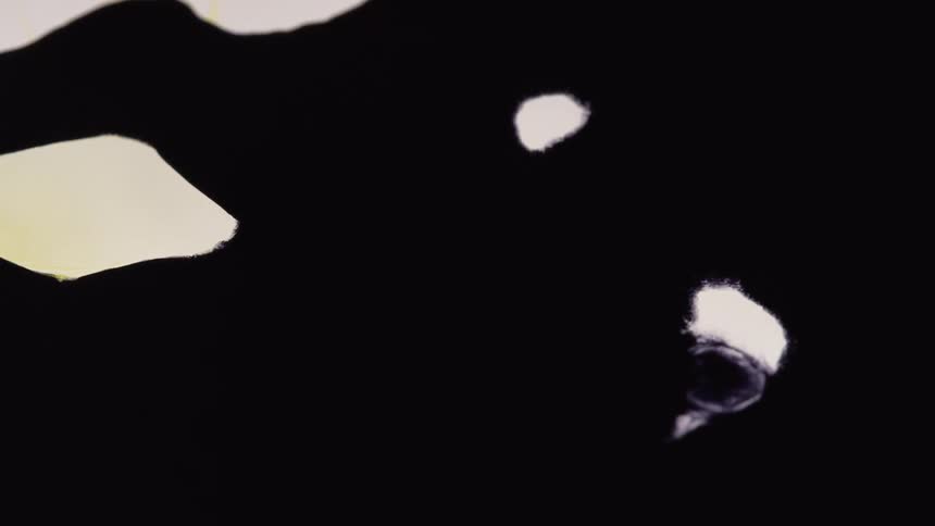 A black color with white holes forming and expanding