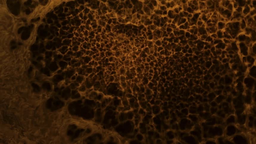 Close up of the surface of a bubbling dark yellow liquid