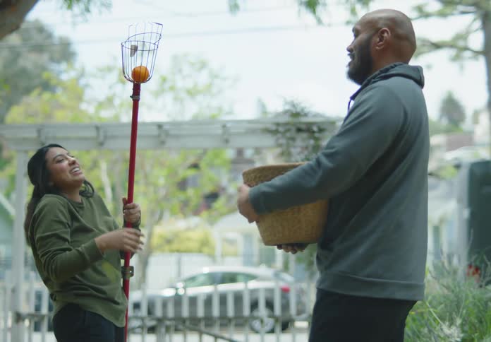 A man and a woman use a metal rod to pick tangerines from a tree then put them in a basket while talking and laughing