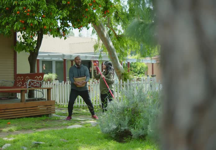 Man and woman harvesting oranges from a tree in the backyard