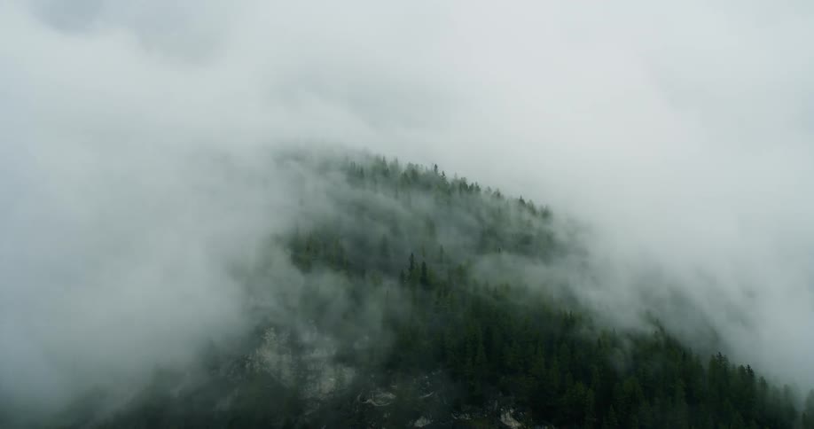 Low lying clouds obscure snowy forest covered mountain slope during winter