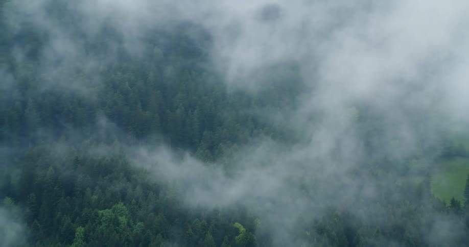 Aerial view of clouds passing over mountains with greenish forests