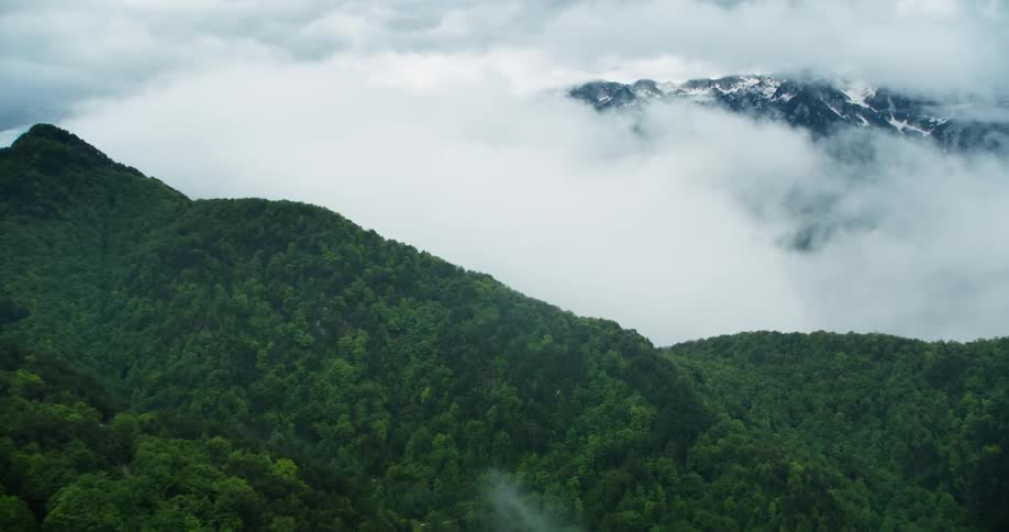 A mountain covered in trees followed by a valley covered in fog