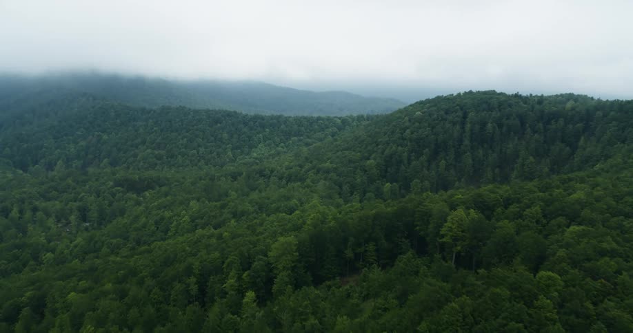 The mountains are covered with heavy fog