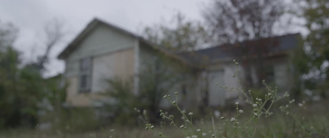 Weeds rustle outside of a house