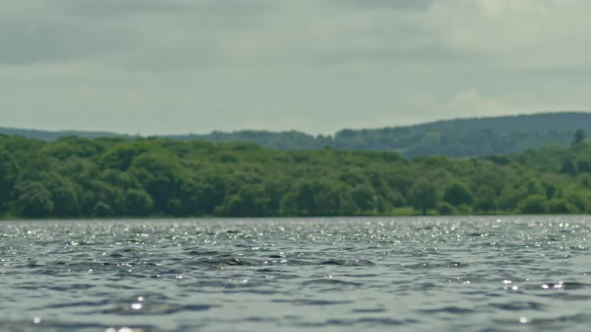 A large body of water stretches out into the distance with trees lining the shore