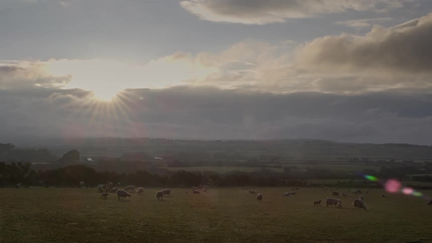 A pastoral landscape with sun rays piercing through clouds above a field where sheep are grazing