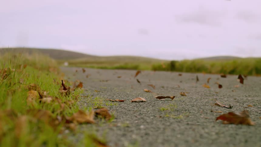 leaves blow along a country lane under a cloudy sky