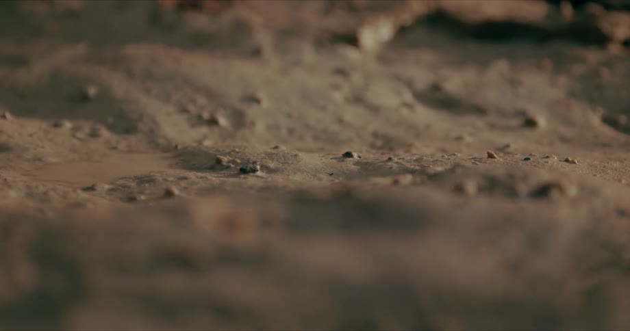 Ground covered in sand dirt and pebbles
