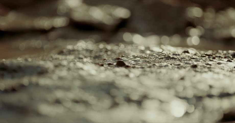 Flat rocks glistening wet