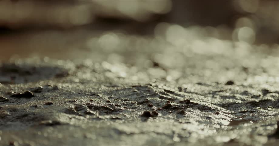 Reflection of natural sunlight on a soil