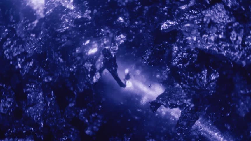 Liquid with shiny leaves with a purple light in abstract motion