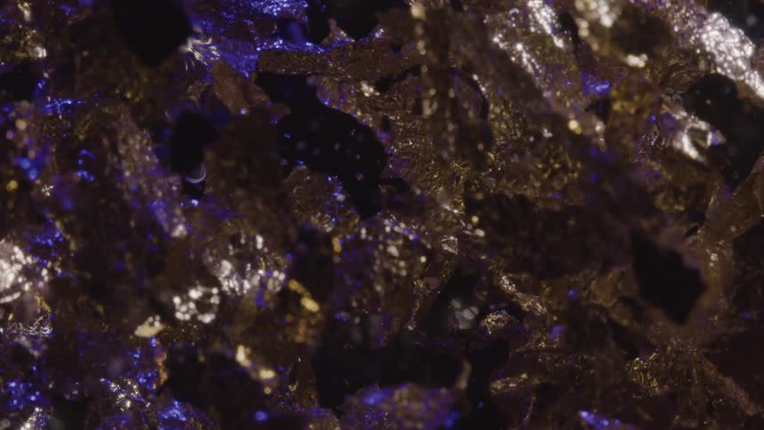 Shiny leaves in a liquid