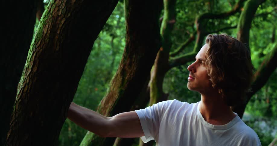 Man in the middle of a forest with butterflies flying around