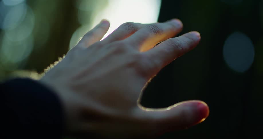 Closeup of a persons hand against sunlight in a blurry forest