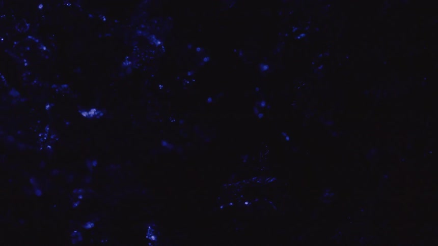 The blue material reflects light