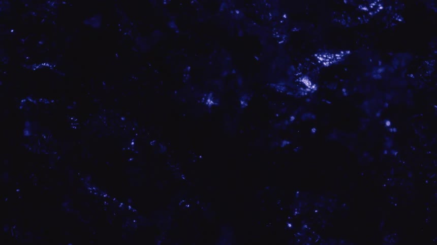 Liquid with a bright purple abstract light