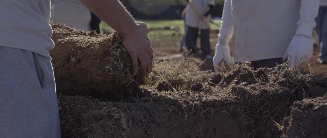 Workers lay sod in a field