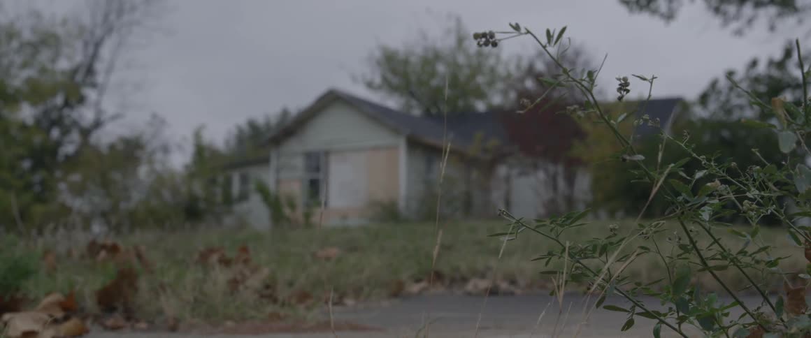 Abandoned house in a unkempt lot