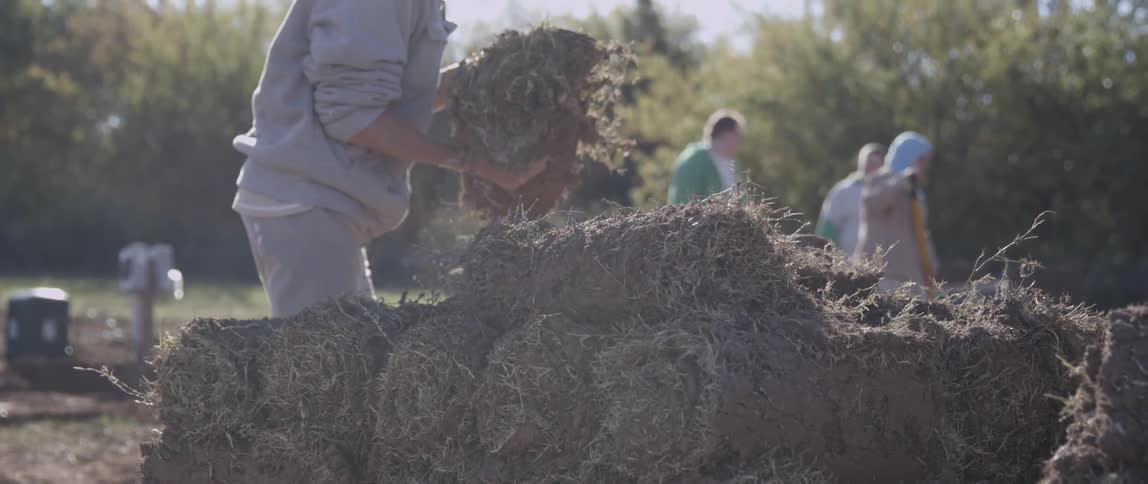 People laying sod on a sunny day