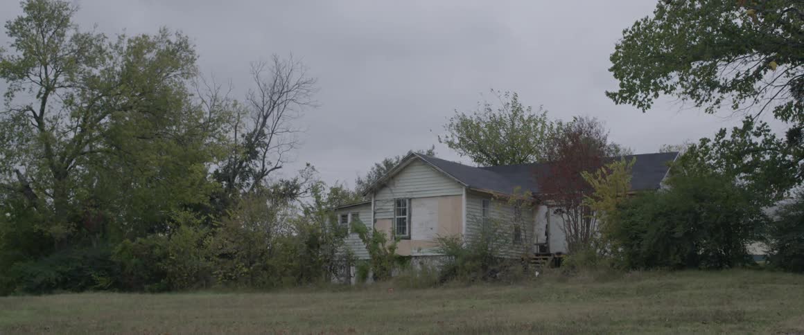 Trees surrounding a run-down house blow in the breeze