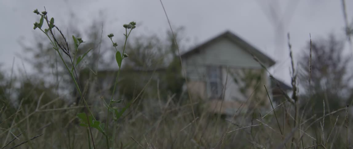 Looking through the weeds at an old house