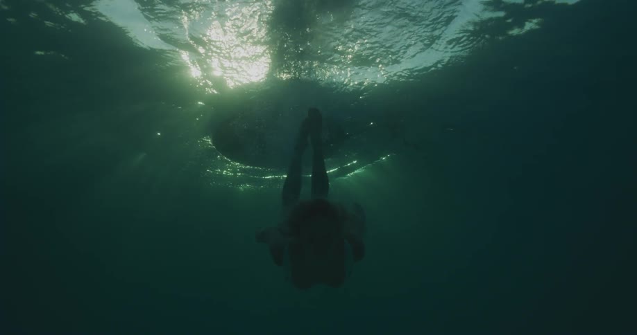 Woman dives into the water before swimming back toward the surface