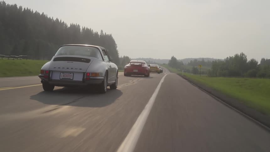 Several sports cars driving on an asphalt street and alongside several trees