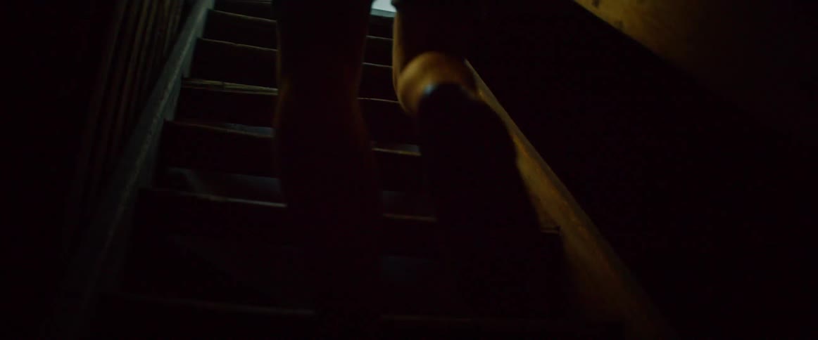 A person has their back turned and is climbing steps from an indoor to an outdoor environment