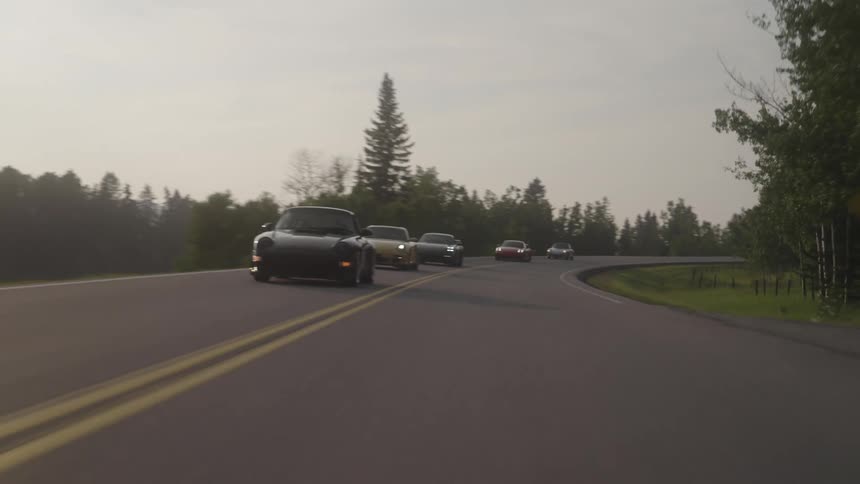 Porsches of different colors traveling along a road with trees around
