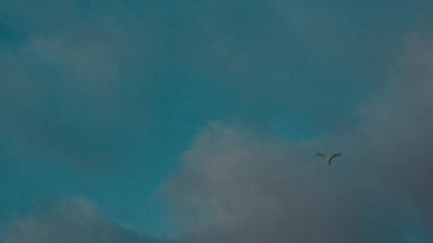 View of a blue sky with clouds and a bird flying