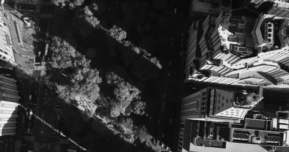 Aerial scenery of towers and buildings in a metropolis