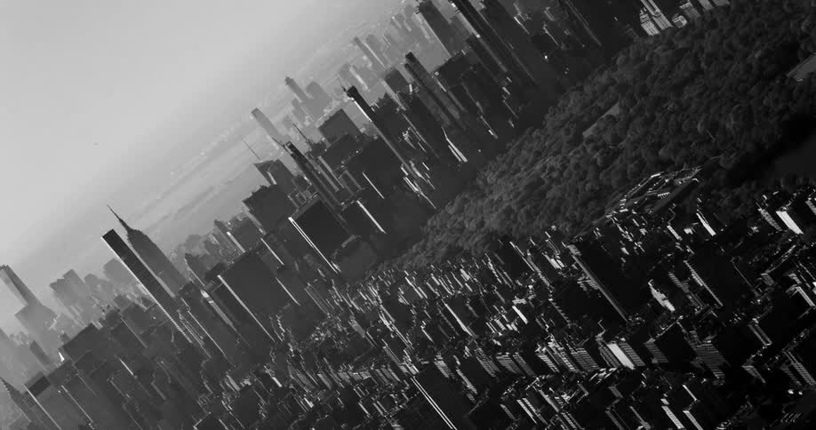 An aerial view of a metropolitan city with huge buildings and a huge park of trees and everything is in black and white tones