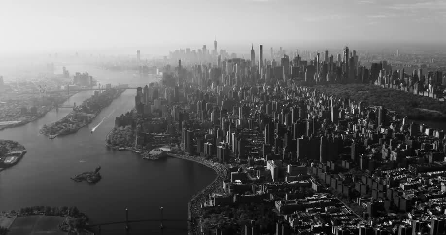 Aerial scene of a metropolis with skyscrapers by the sea