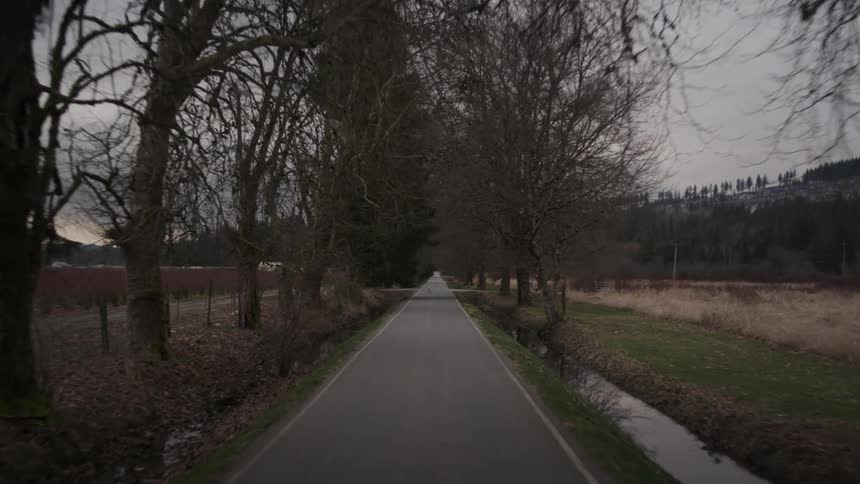 A small asphalt road and trees and two small rivers on the sides