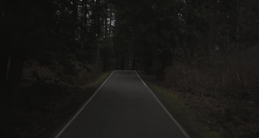 Narrow paved road in the middle of a forest