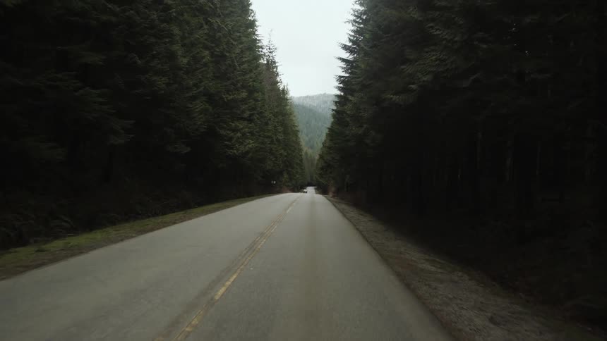 Tall conifers in forest line the two lane highway leading towards the mountains
