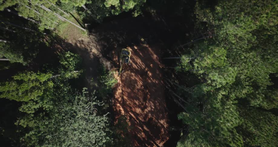 Excavator in the middle of a forest