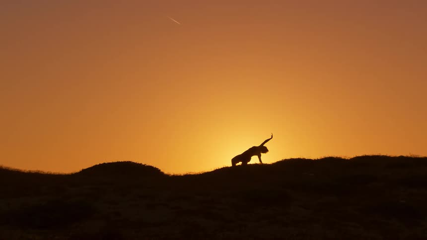 The woman is covered in shadow at sunrise while doing tai chi