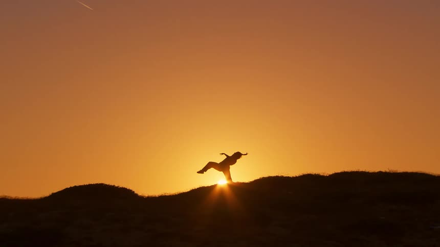 A silhouette of a person making martial arts gestures against the orange sky