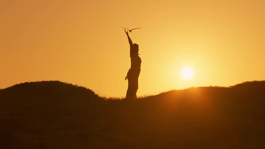 A silhouette of a woman dancing over a hill against the backdrop of a setting sun