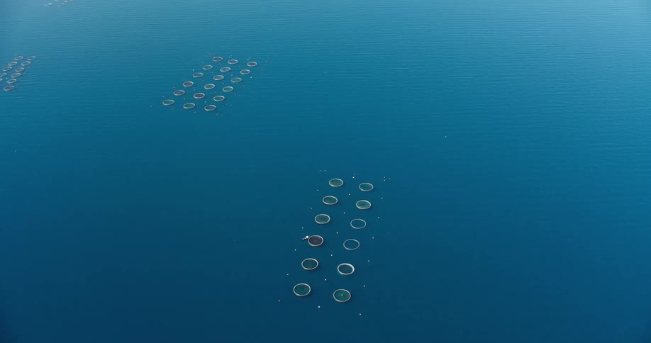 A series of large circular objects floating in the ocean