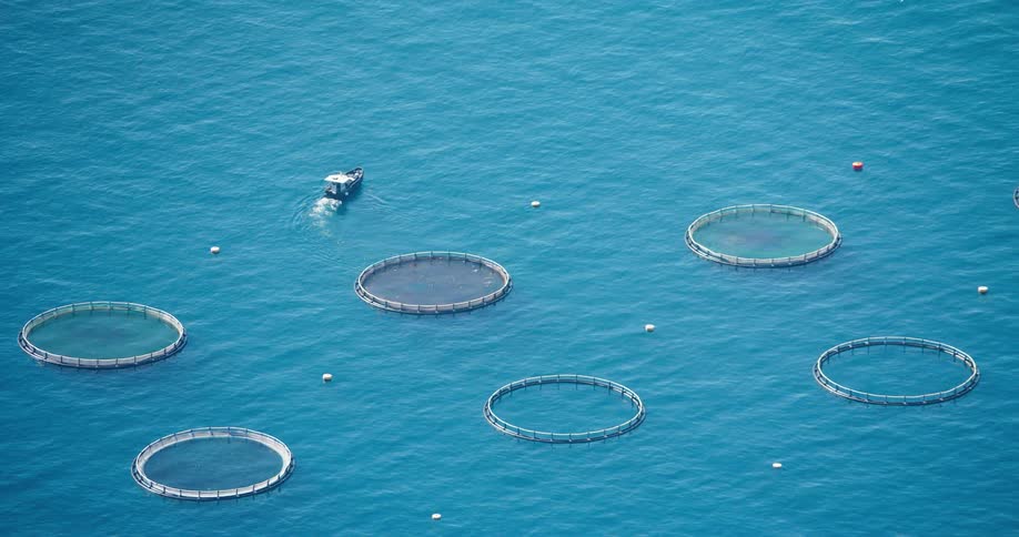 An aerial view of a boat near a fish farm in a large body of water