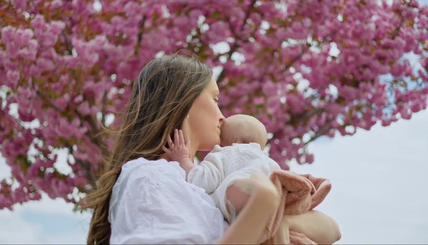 A mother kisses her baby under the cherry blossom tree