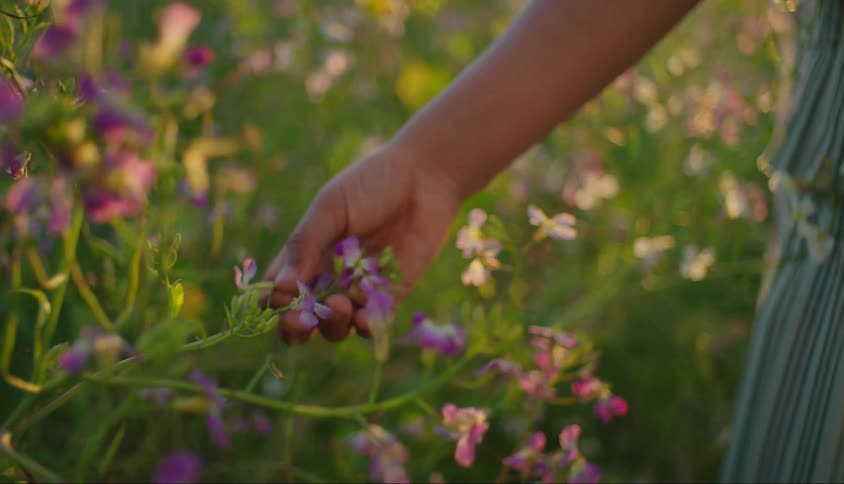 A female pulls out a flower plant outdoors