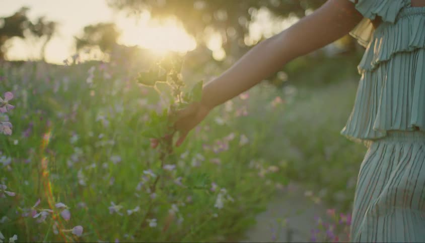 Little girl touching flowers in a field accompanied by her mother