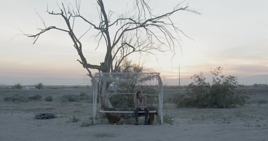 Man sitting on a bench under a barren tree  in a vast flatland at sunset