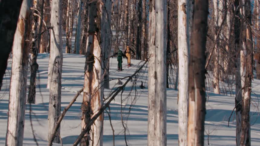 Two people with ski equipment climbing a snowcovered mountain in a forest